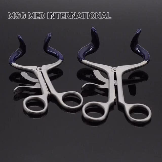 ¿Cuál es la anatomía de la mejilla?