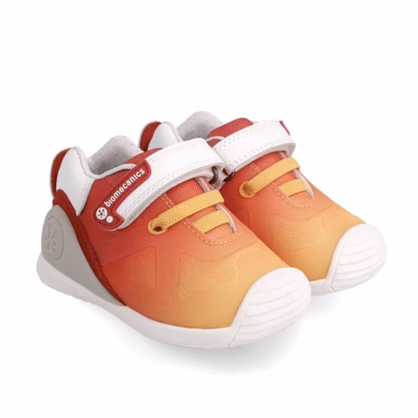 ¿Qué estudian los investigadores en Biomecánica ortopédica?