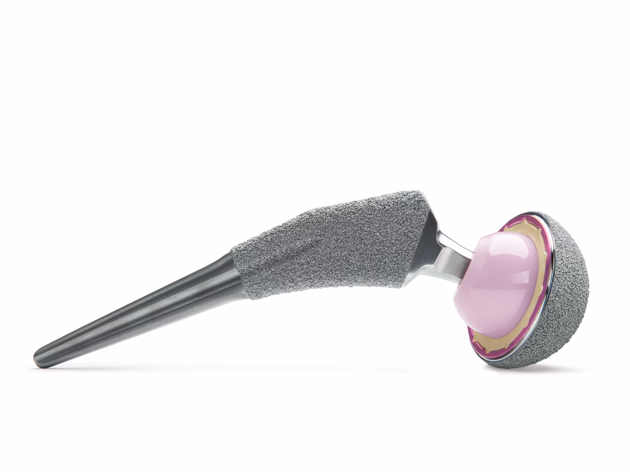 What rights does Zimmer Biomet have?