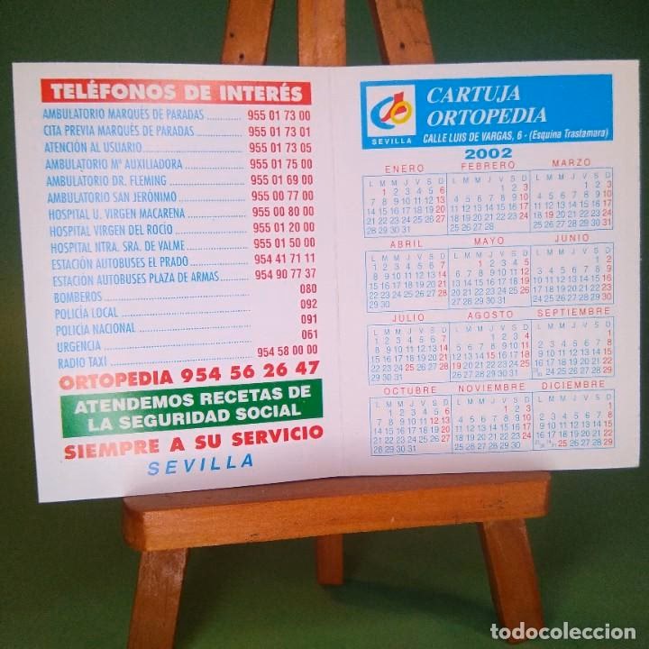 ¿Qué son las grúas ortopédicas?