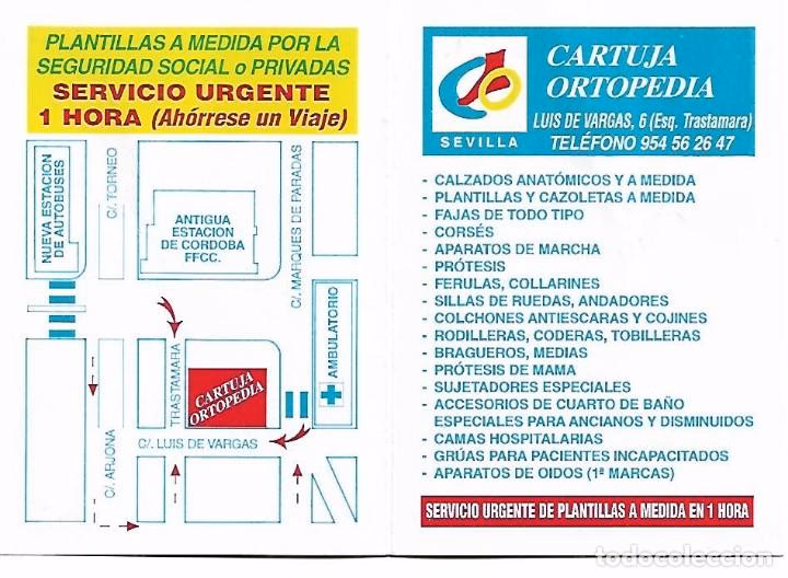 ¿Quién fundó la Cartuja?