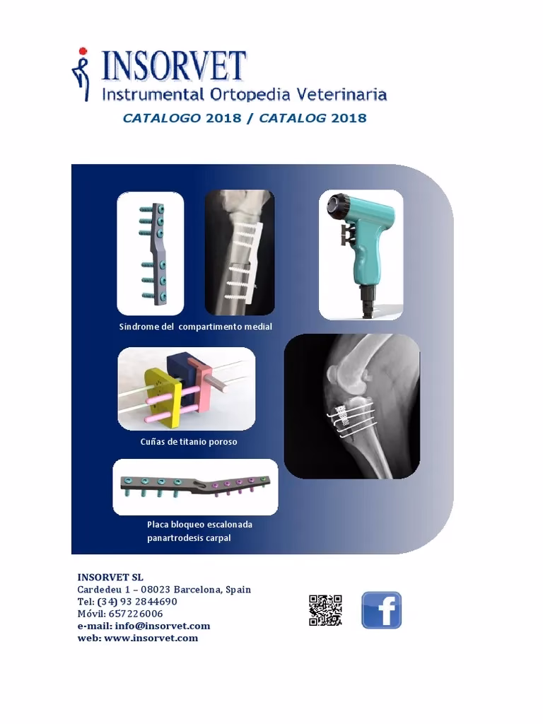 ¿Cuáles son los diferentes tipos de productos de ortopedia?