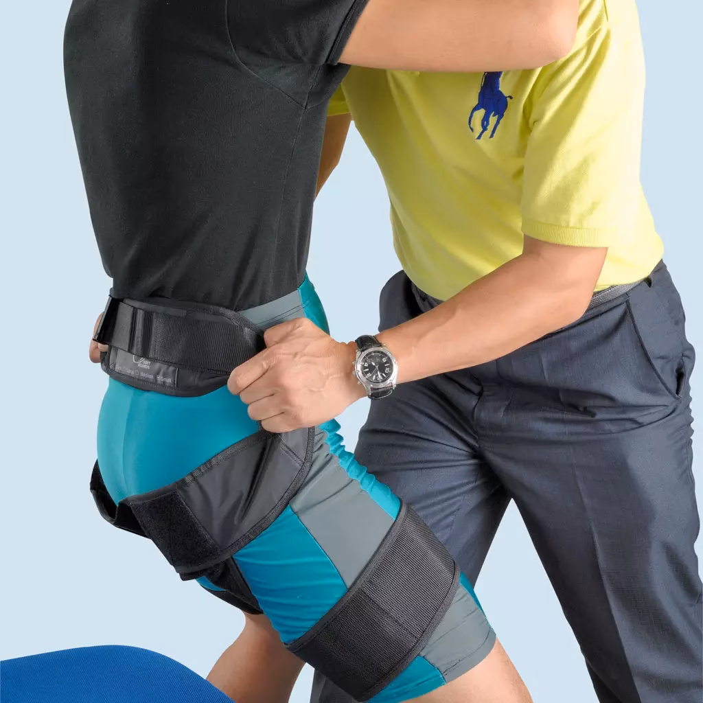 ¿Qué es un cinturón de transporte?