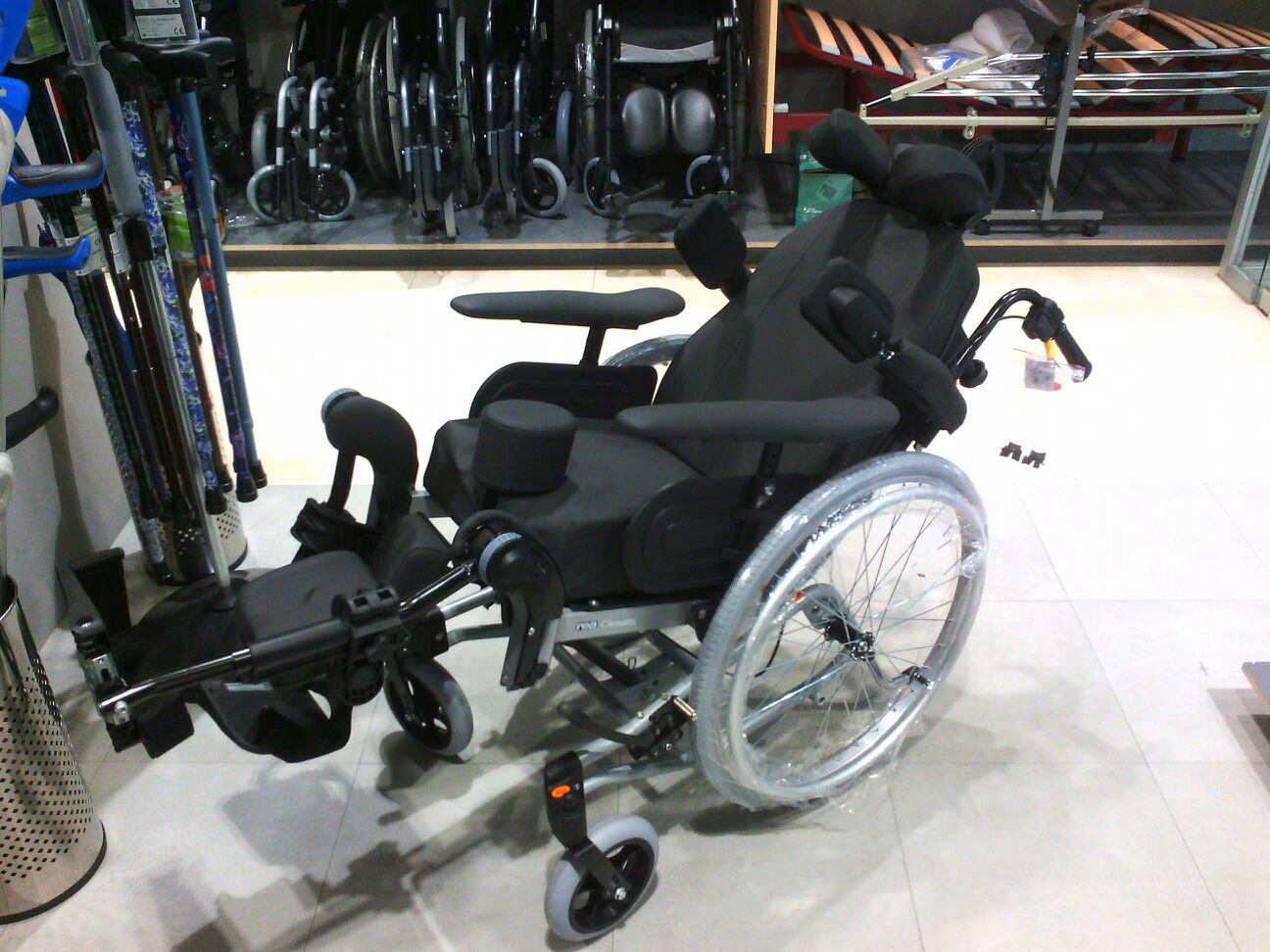 ¿Cuáles son las mejores posibilidades de establecimiento y crecimiento de las clematis?