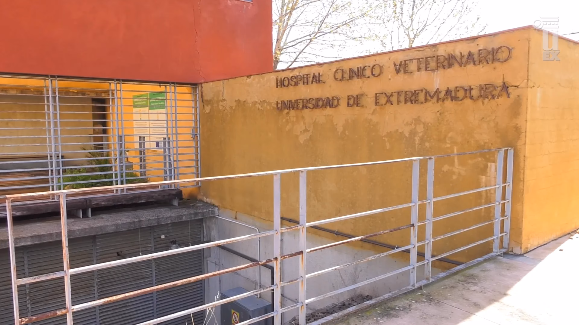 ¿Qué hace una clínica veterinaria en Cáceres?