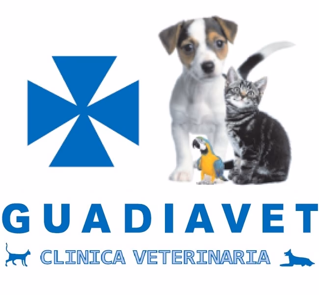 ¿Qué hace una clínica veterinaria en Cáceres?