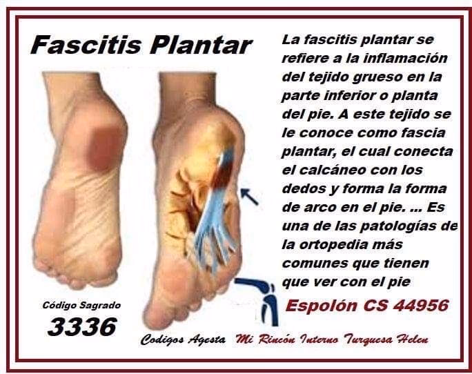 ¿Cómo solicitar un visado Ortoprotésica?