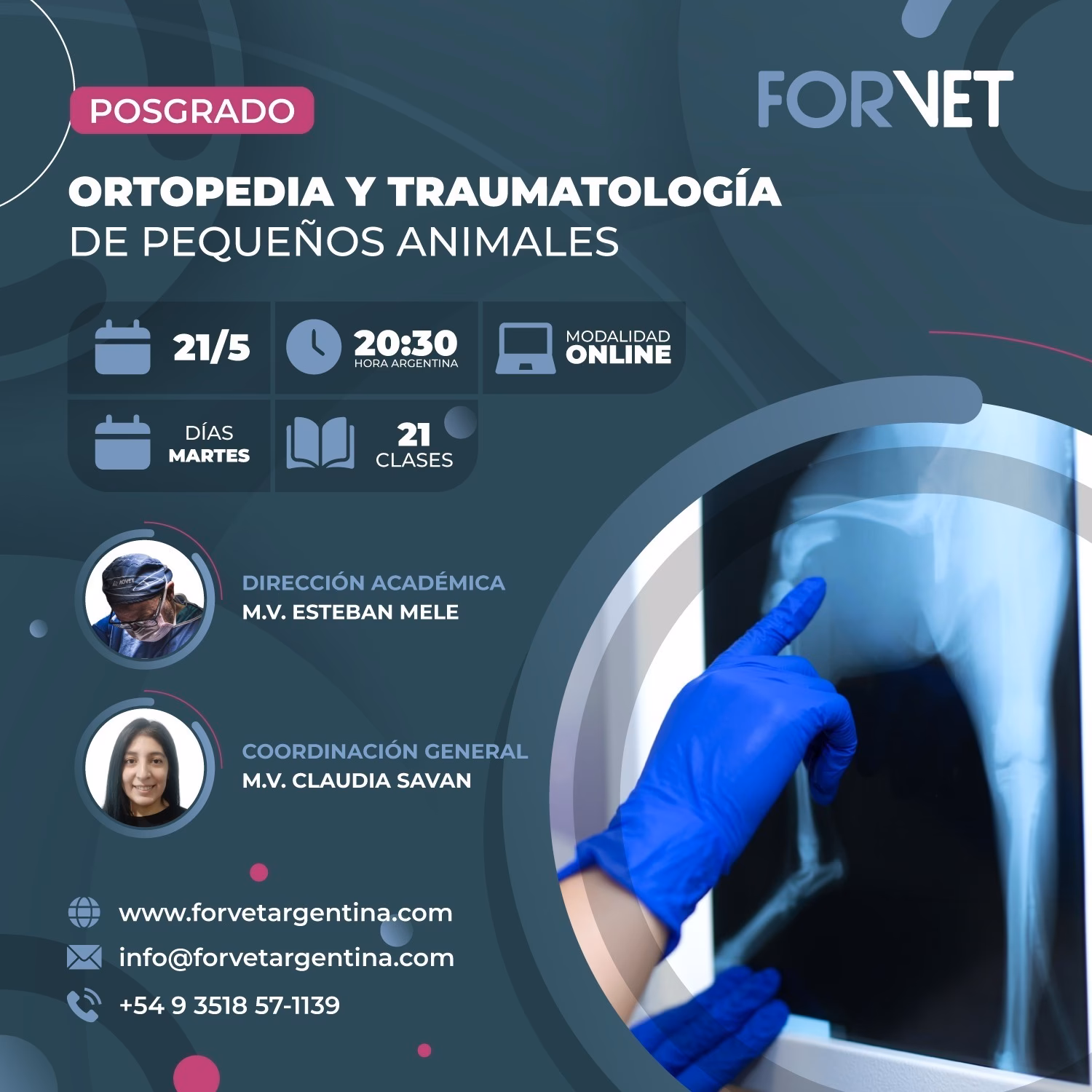 ¿Qué es un especialista en traumatología Veterinaria?