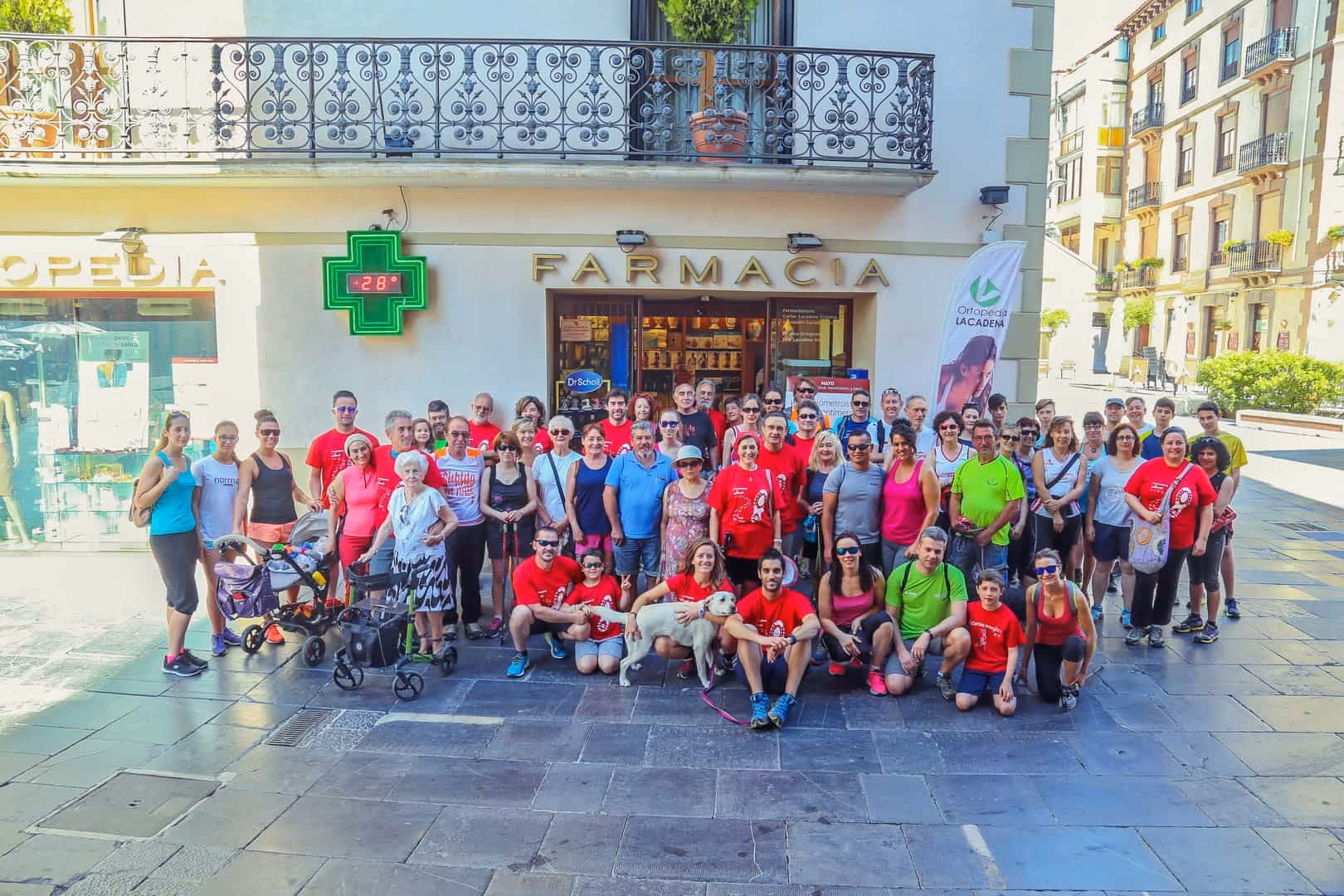 ¿Qué son las cadenas de farmacias?