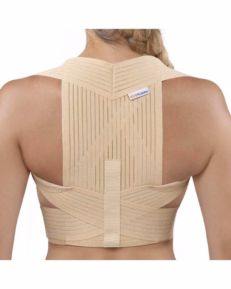 ¿Qué es una espaldera de Gimnasia?