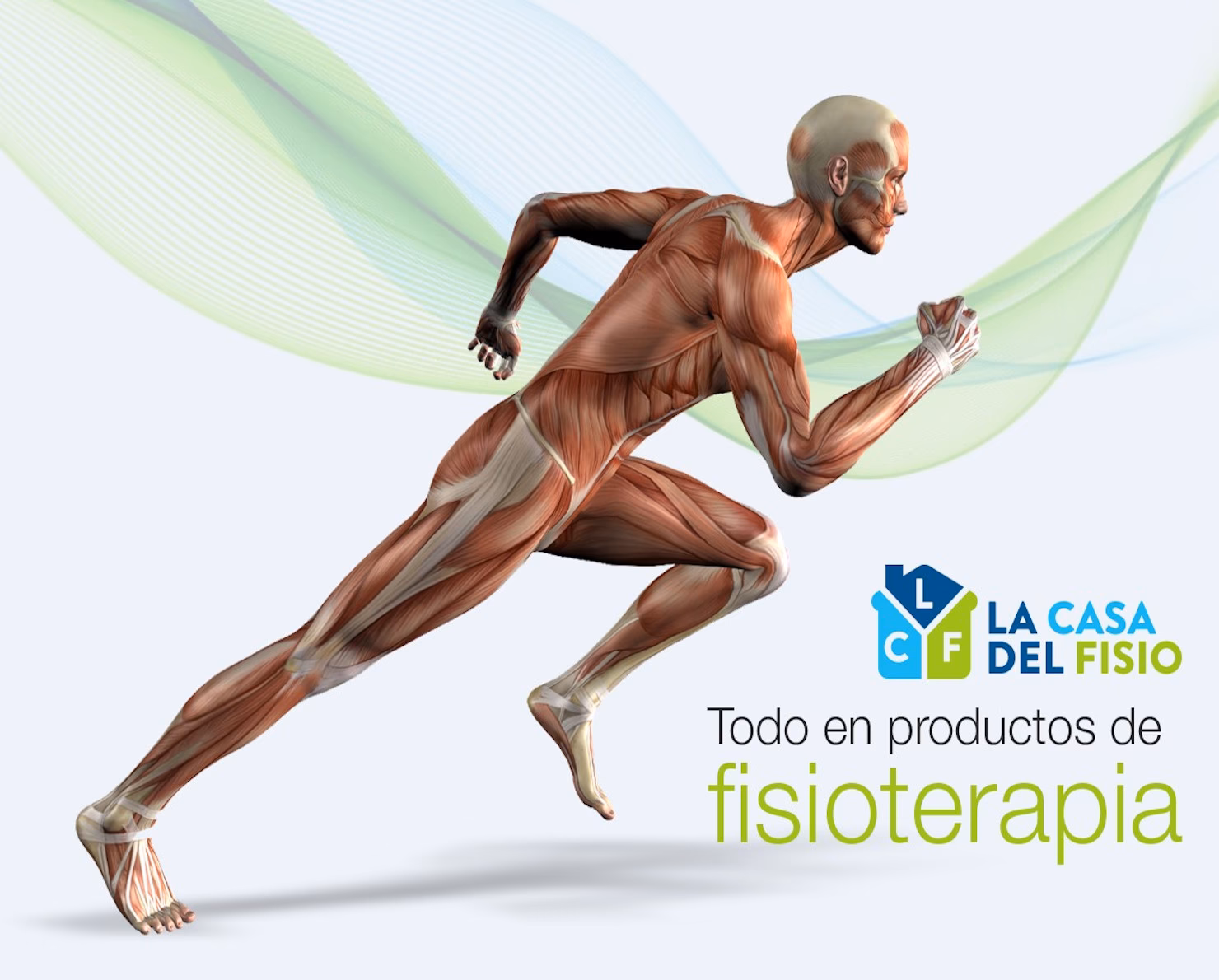 ¿Qué es la fisioterapia ortopédica?