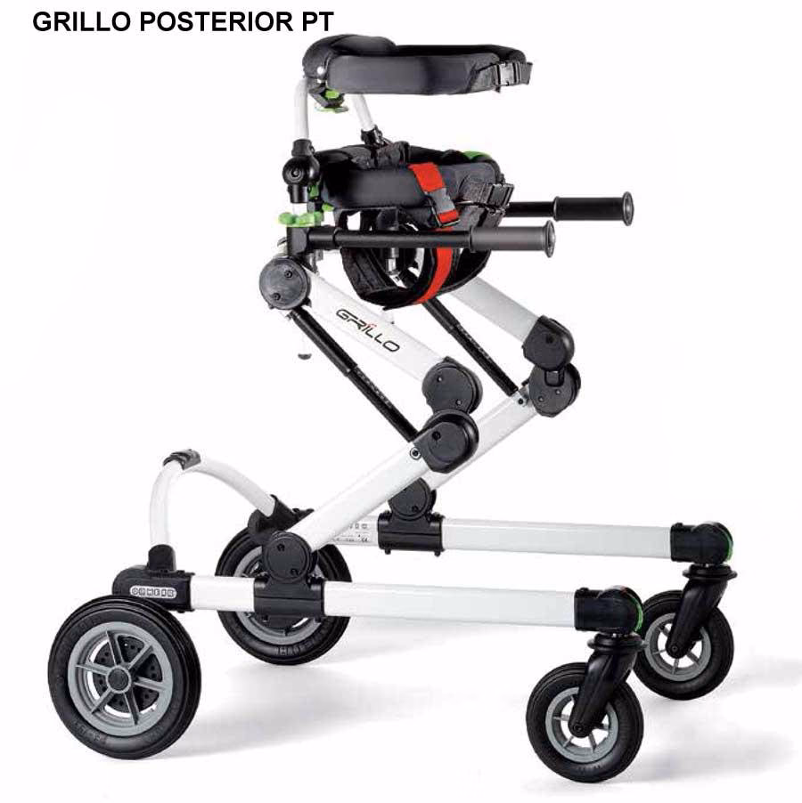 ¿Quién es el doctor Grillo?