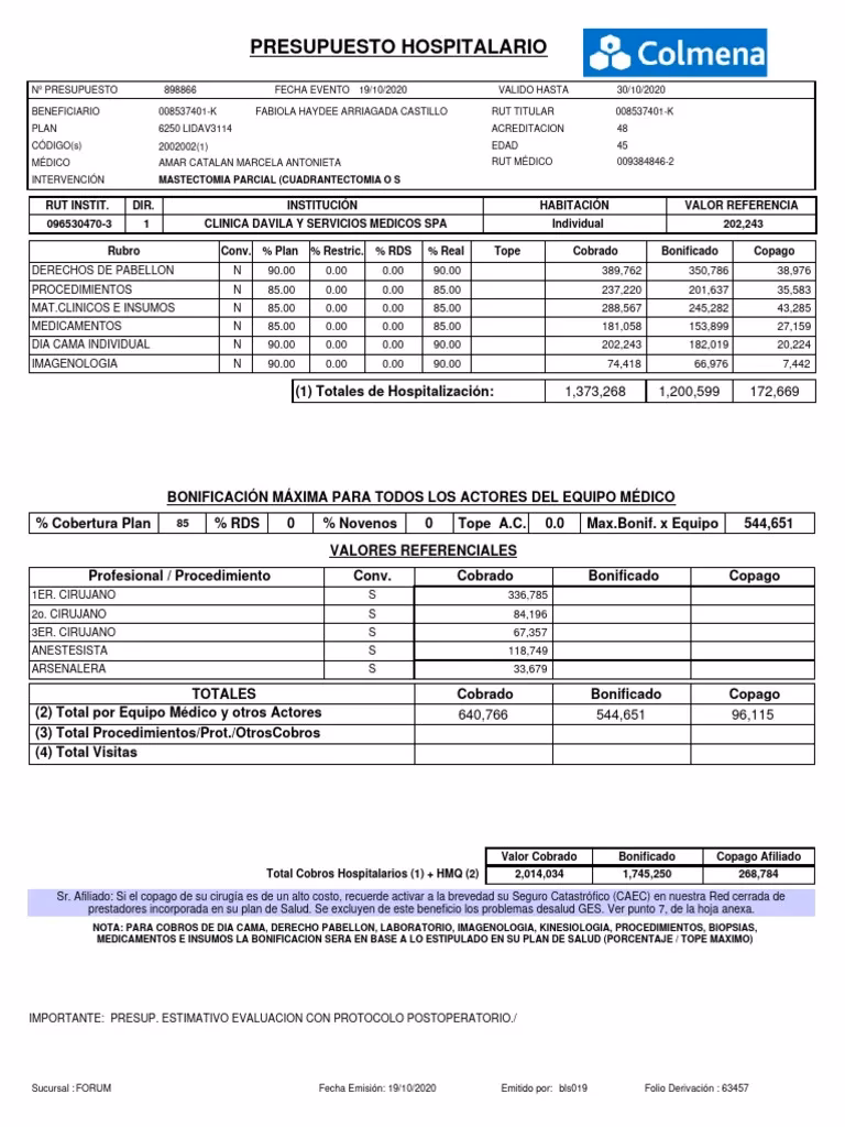 ¿Qué son las plantillas de presupuesto?