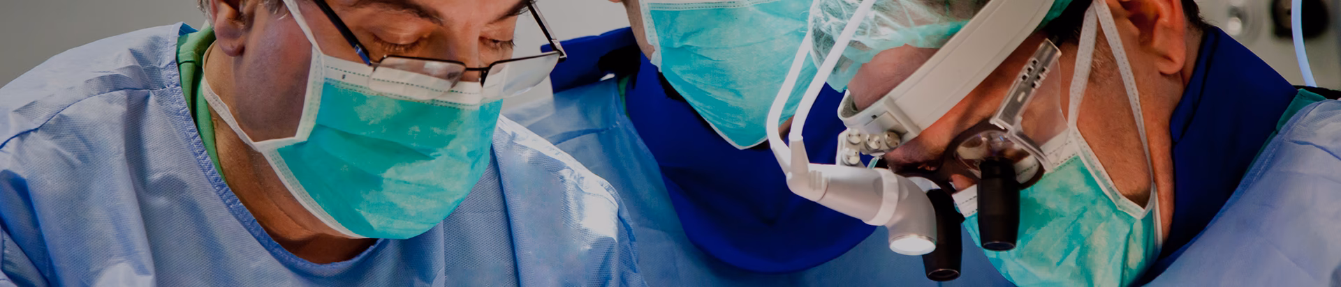 ¿Qué promueve el Instituto Aragonés?