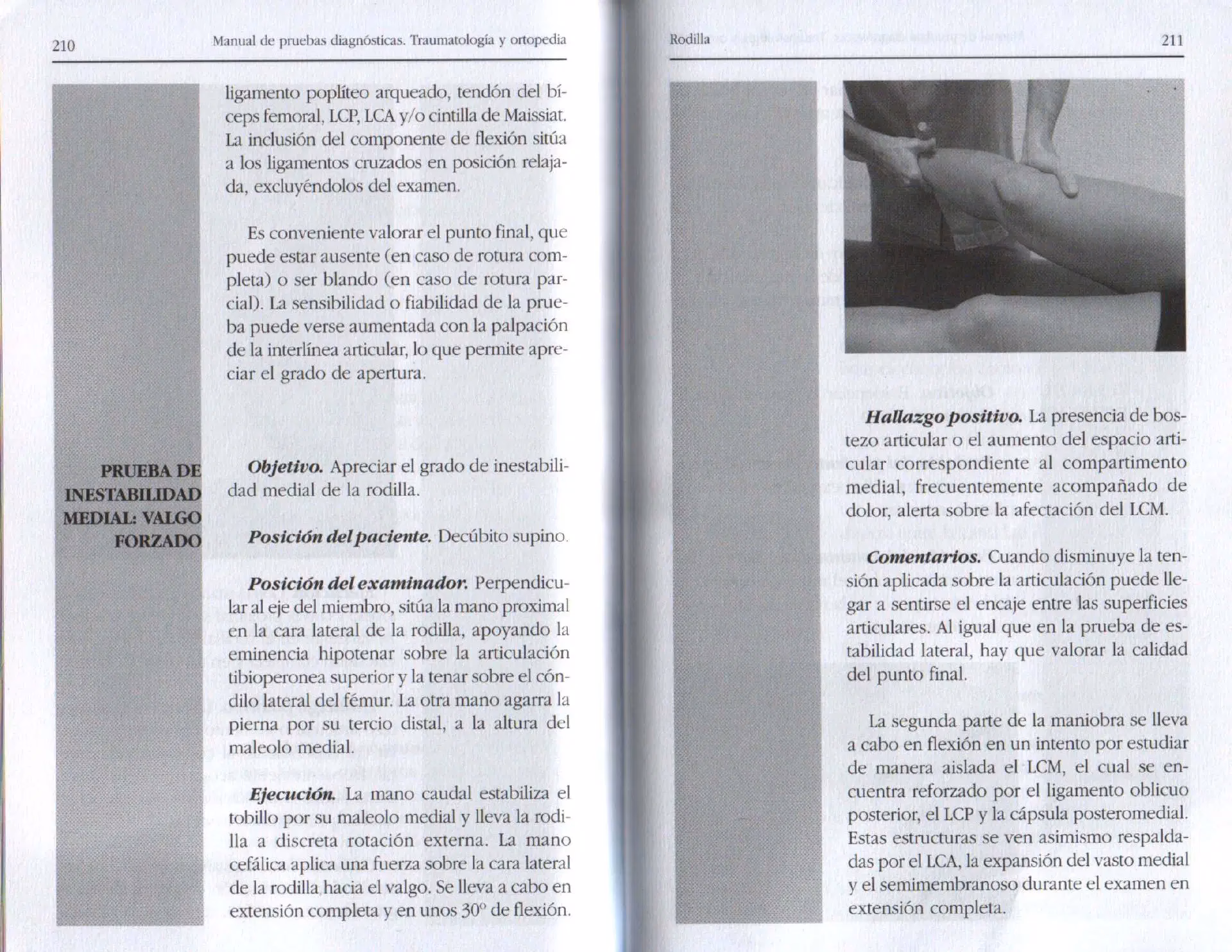 ¿Quiénes integran los jurados que evaluarán las pruebas de oposición?