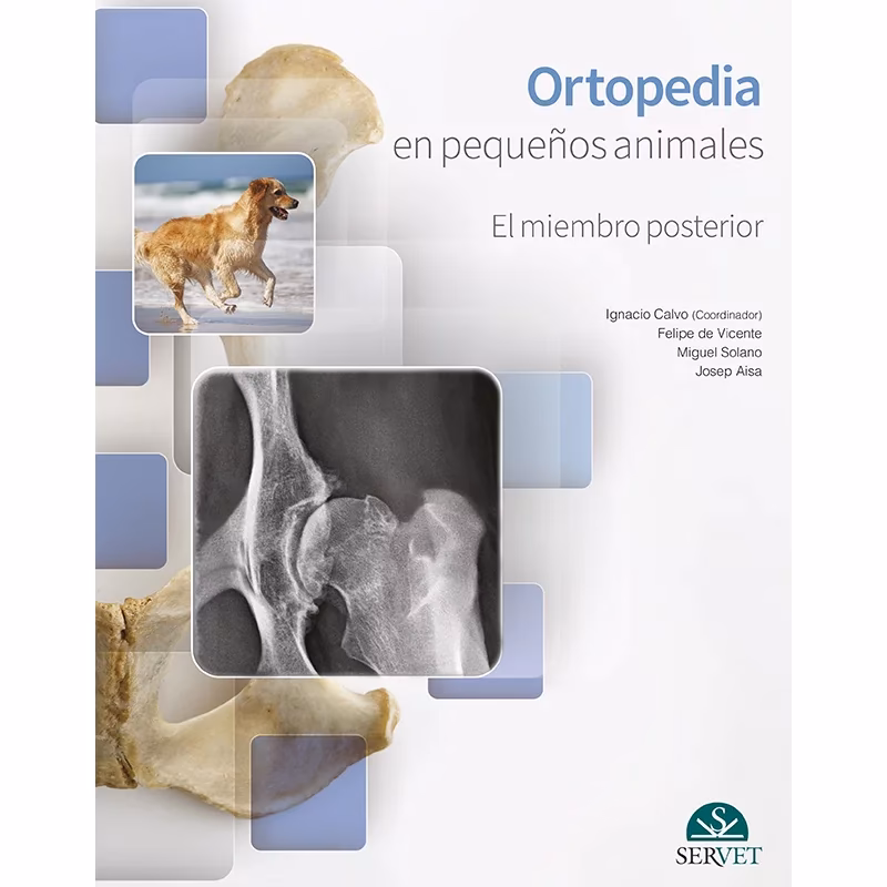 ¿Cómo se manejaban las fracturas antes?