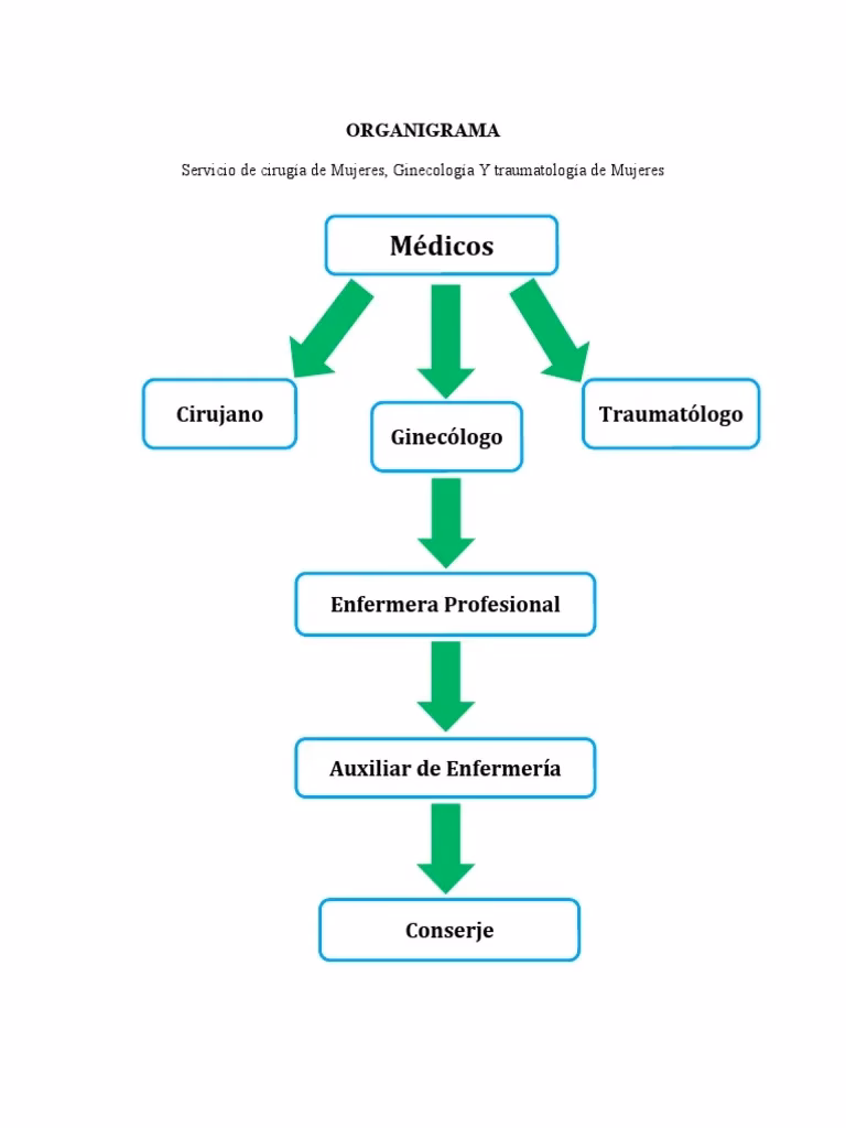 ¿Qué es el organigrama de un hospital?