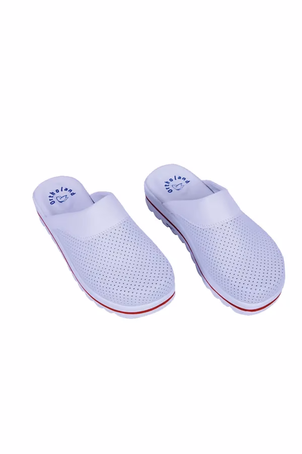 What makes ortholand a good brand?