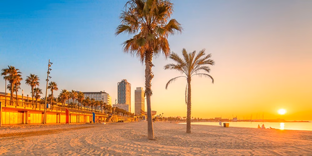 ¿Qué significa 'ortos'?