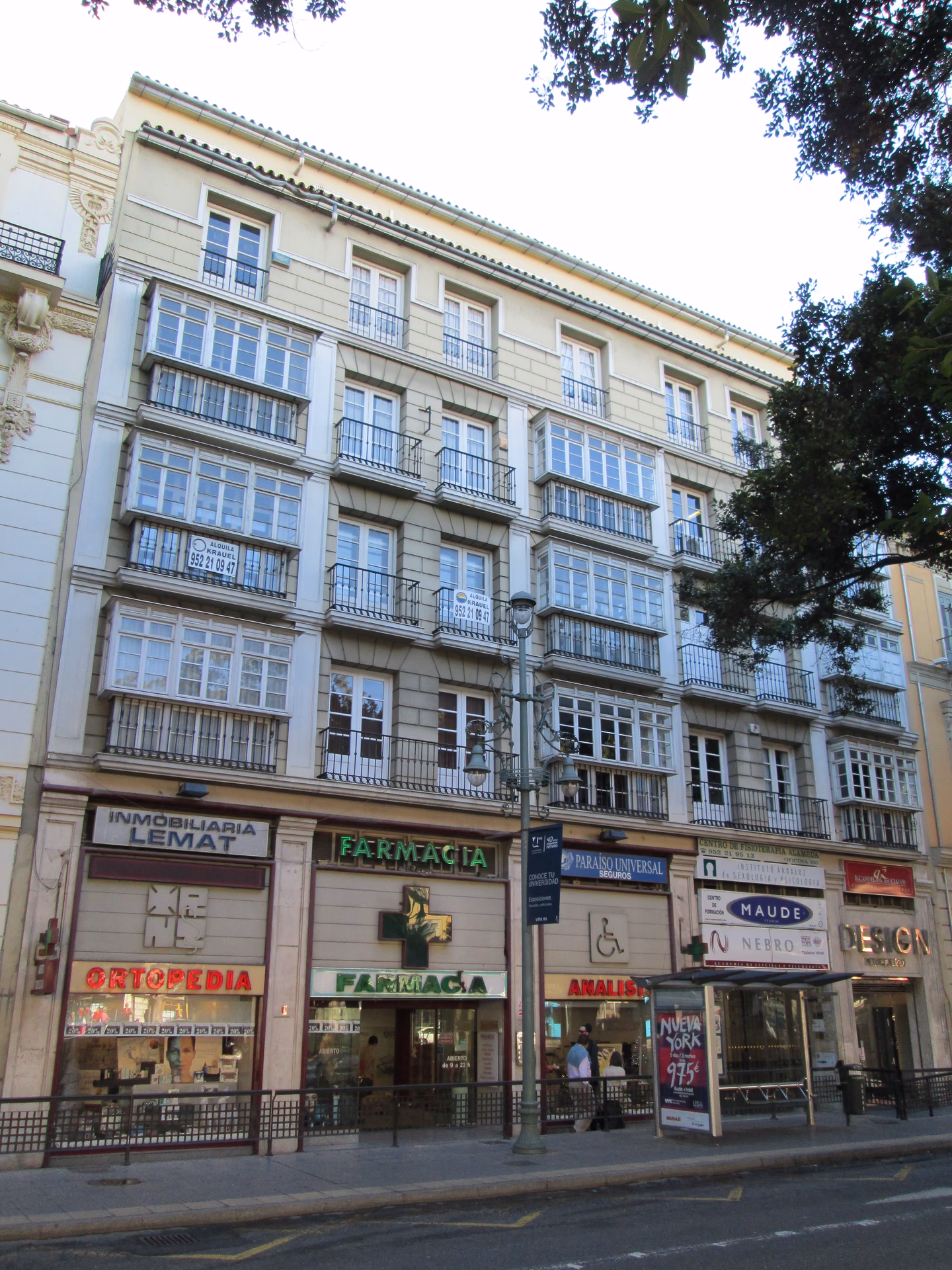 ¿Cuál es el camino de desarrollo profesional para los especialistas en ortopedia?