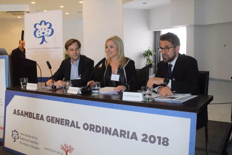 ¿Qué es amplifon ibérica?