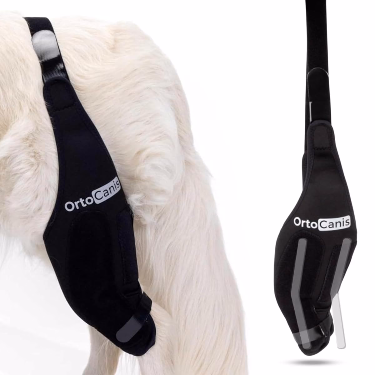 ¿Qué es la rodillera para perro?