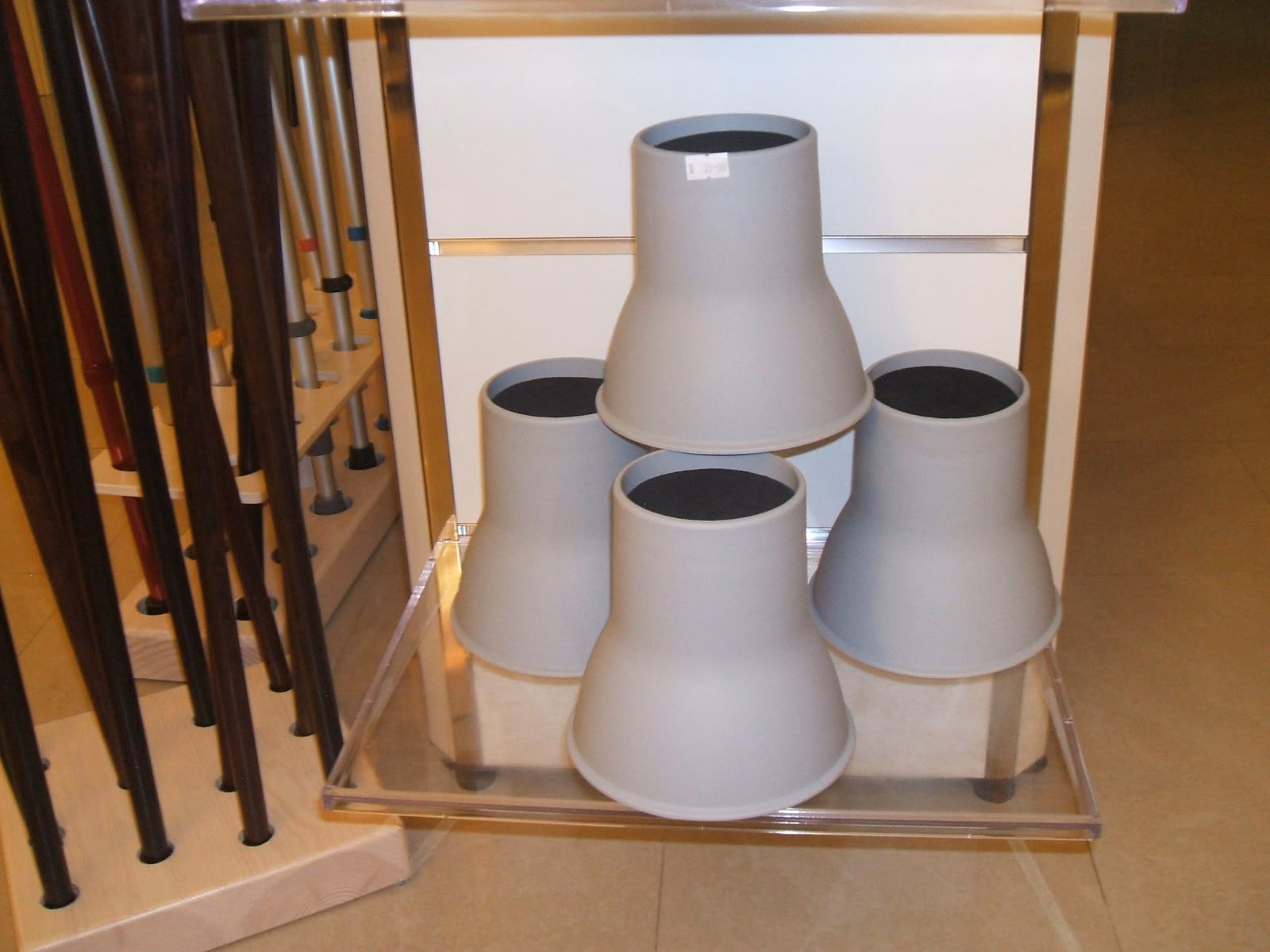 ¿Dónde se pueden plantar las orejas de elefante?