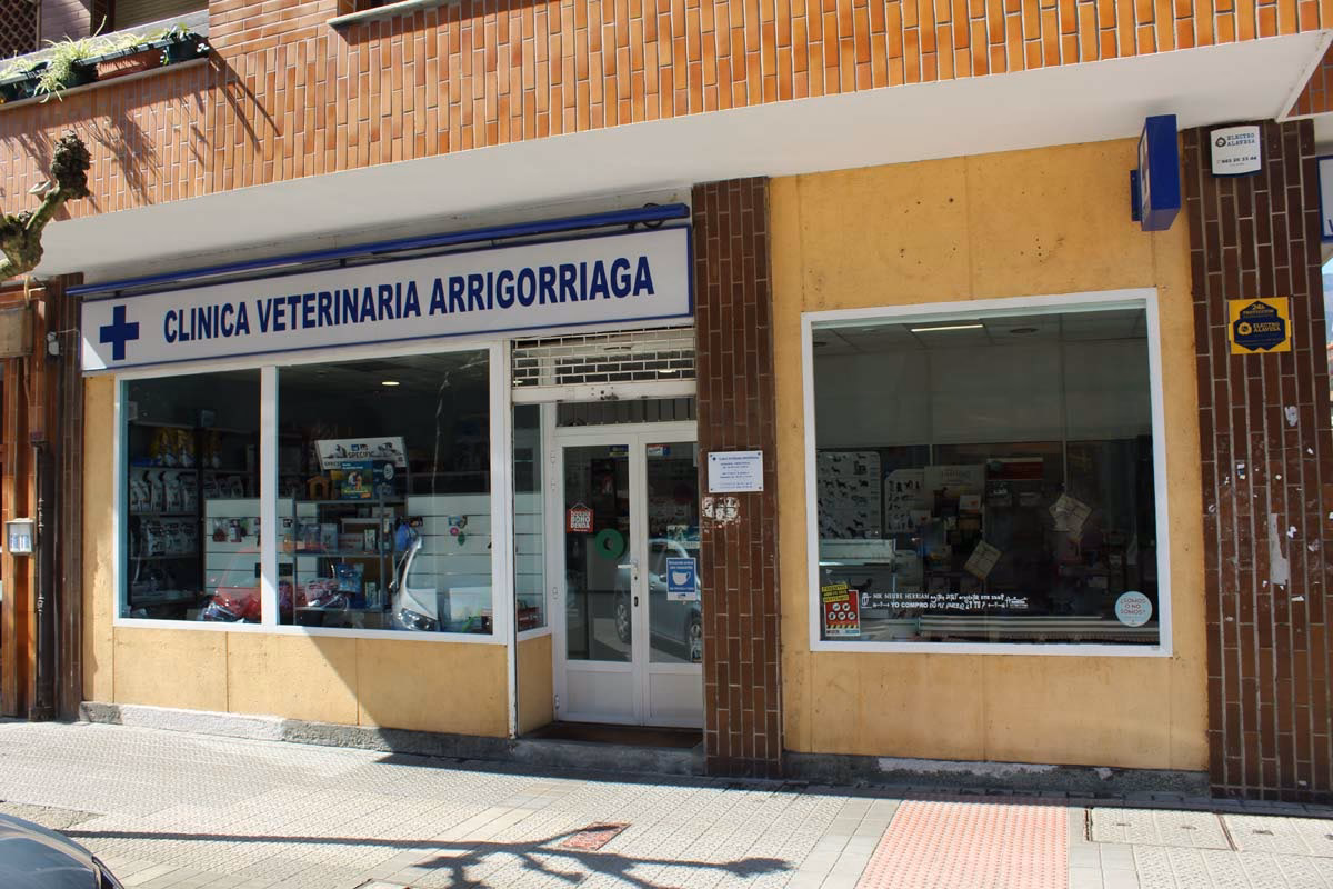 ¿Cuáles son los distritos de Arrigorriaga?