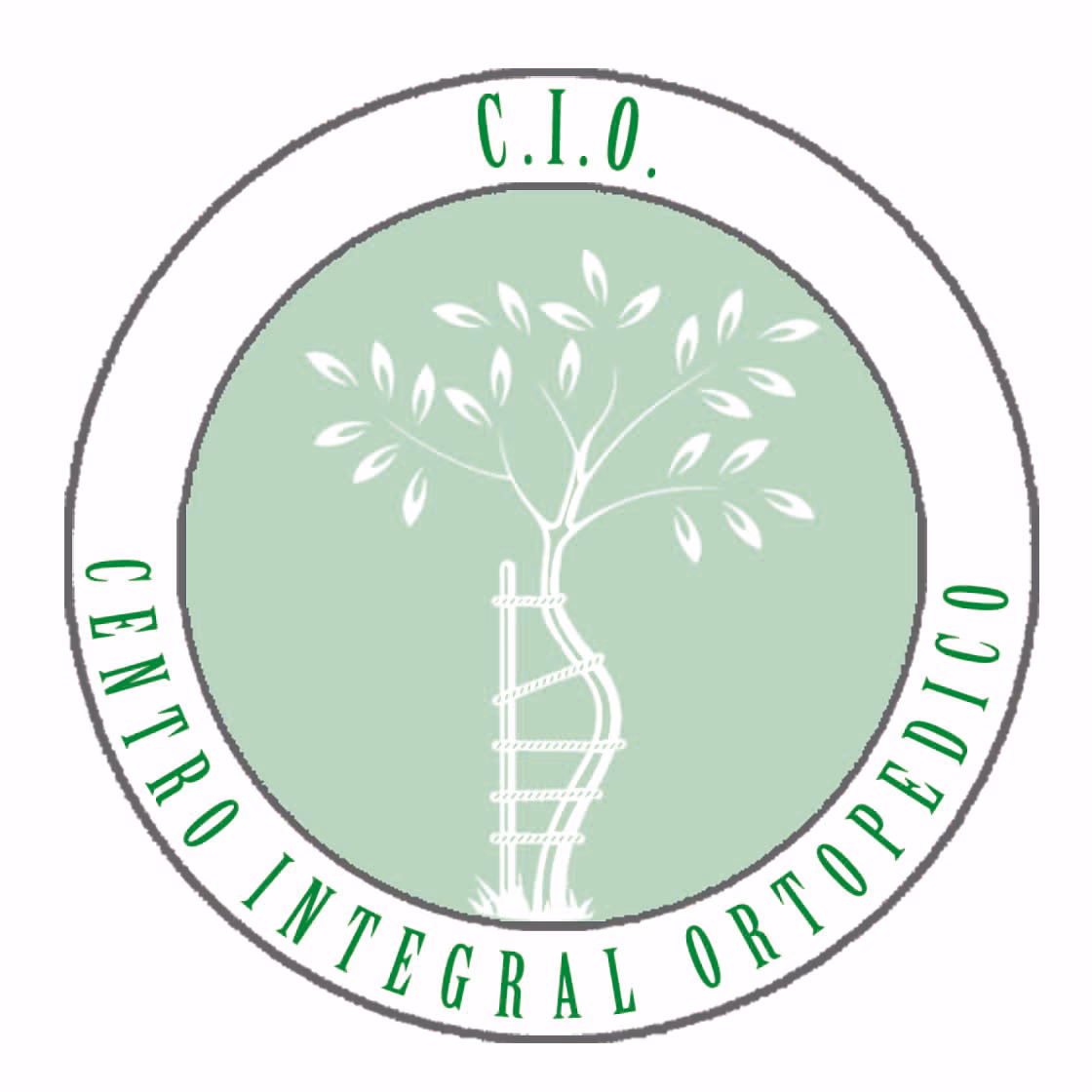 ¿Quiénes son los médicos ortopedistas y traumatólogos?