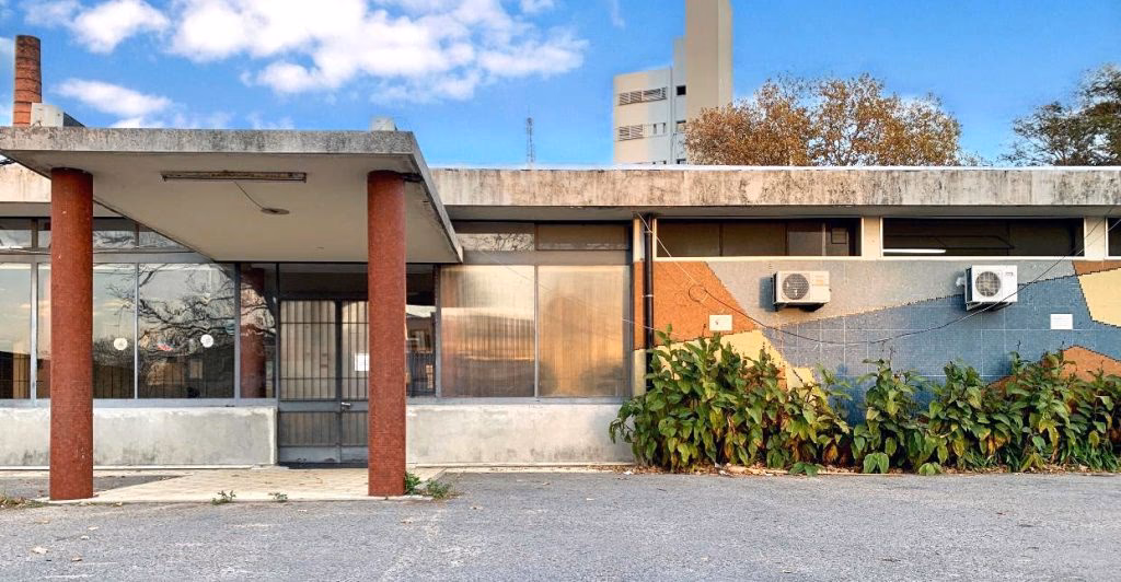 ¿Quién es el autor de Ortopedia y Traumatología?