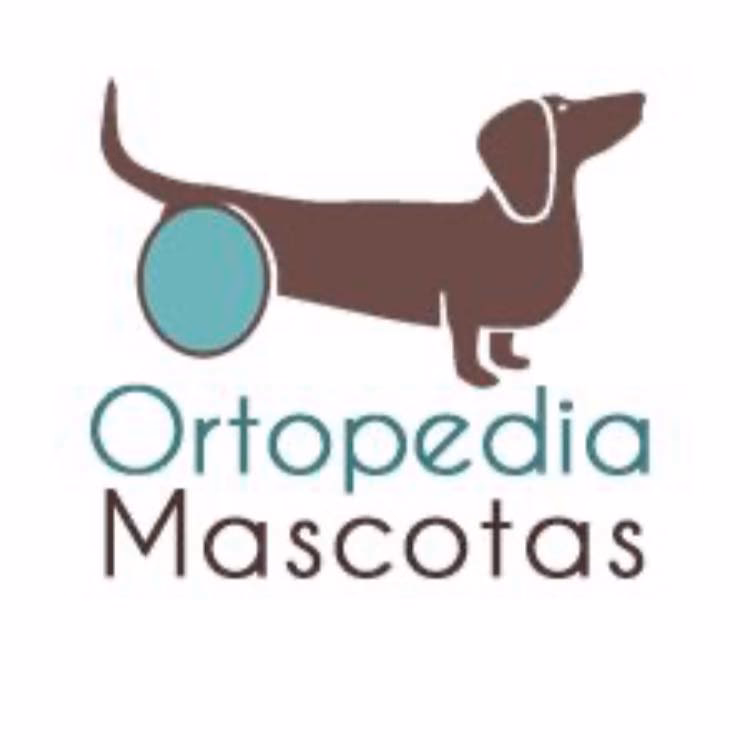 ¿Qué hace un taller ortopédico para la mascota?