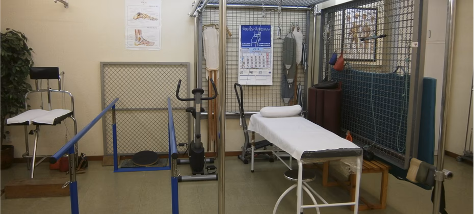 ¿Qué es ortoplant?