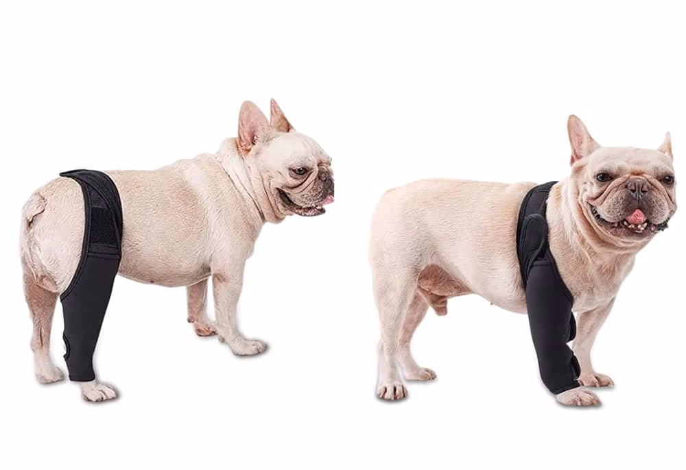 ¿Cuáles son los productos de ortopedia para perros?