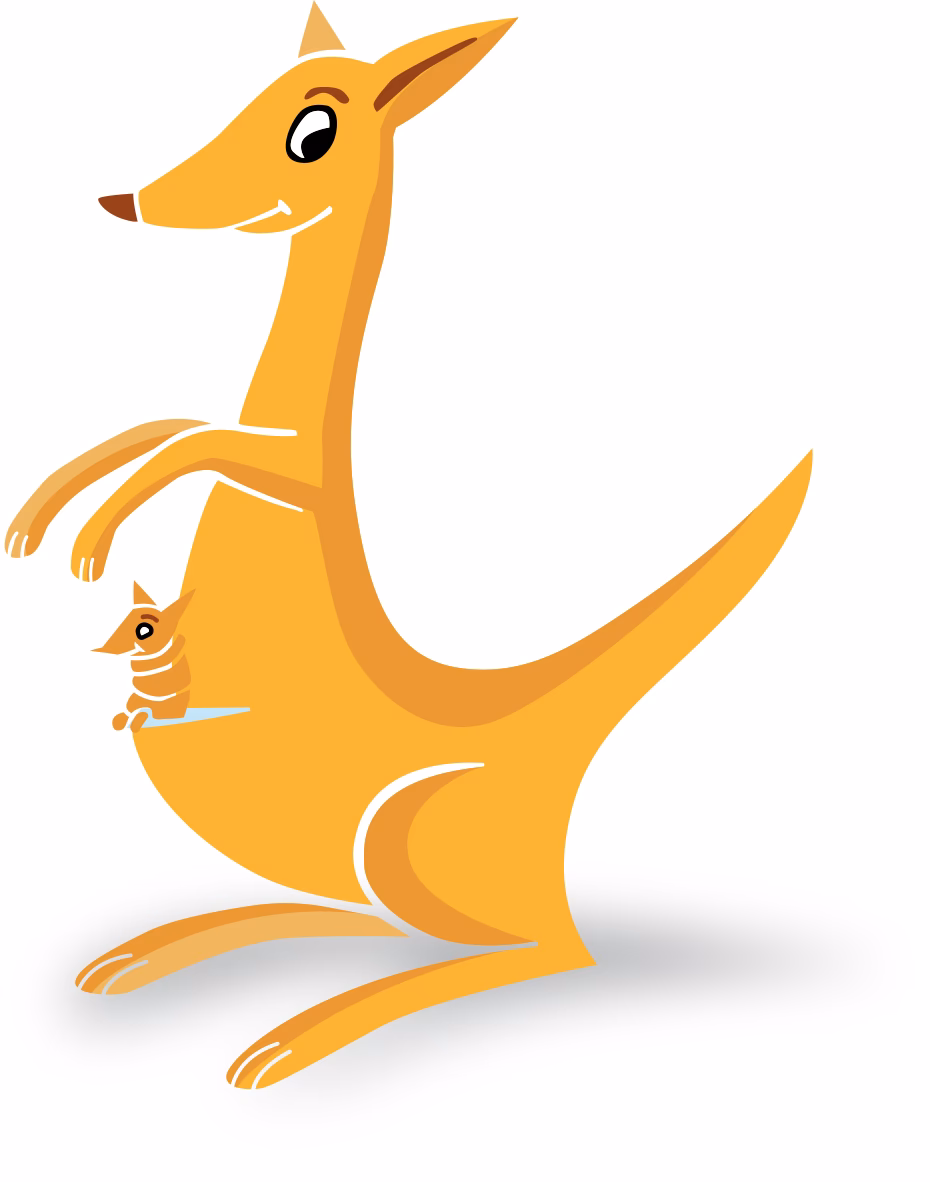 ¿Qué servicios ofrece la tienda ortopédica?