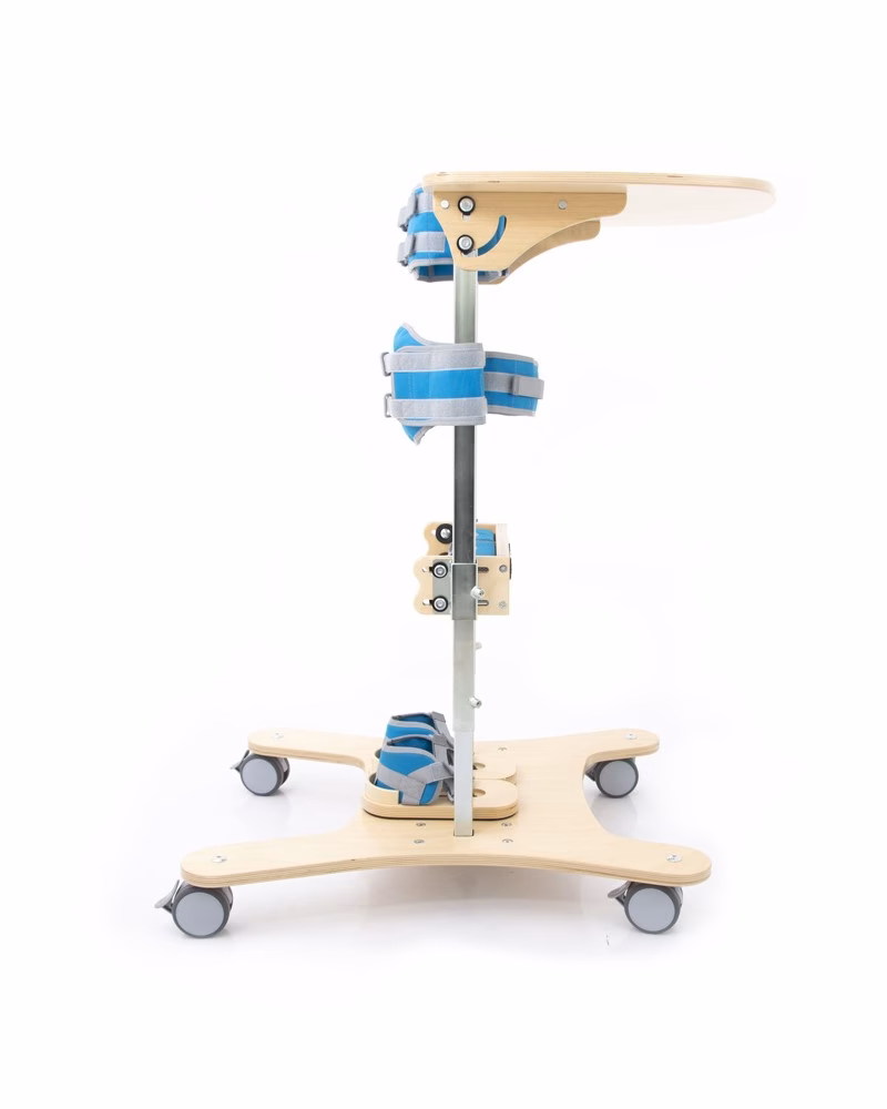 ¿Qué productos ofrece Rehagirona?