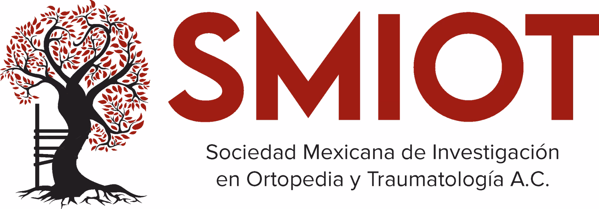 ¿Cuál fue el tema del XXI Congreso de Ortopedia y traumatología infantil?